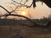 IMG_9928