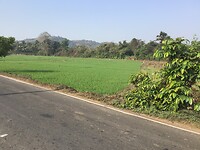 IMG_9956