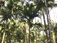 IMG_9900