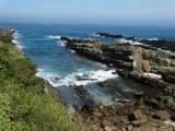 Tsitsikamma NP