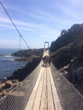 Tsitsikamma brug groep