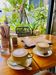 Cacao en koffie bij Wo Kapi in Santa Ana