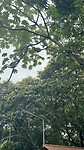 IMG_6923