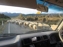 IMG_3125