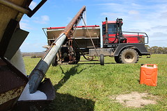 IMG_7368[1]