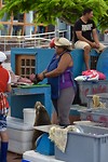 Vismarkt - Puerto Ayora