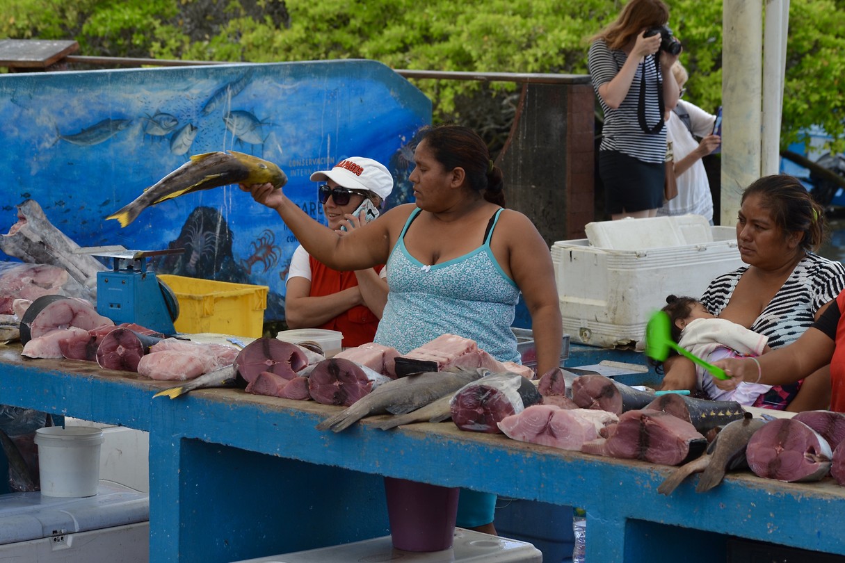 Vismarkt - Puerto Ayora