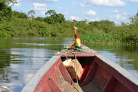 Onze boot - Santa Rosa