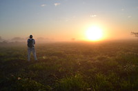 Sunrise Pampas - Santa Rosa