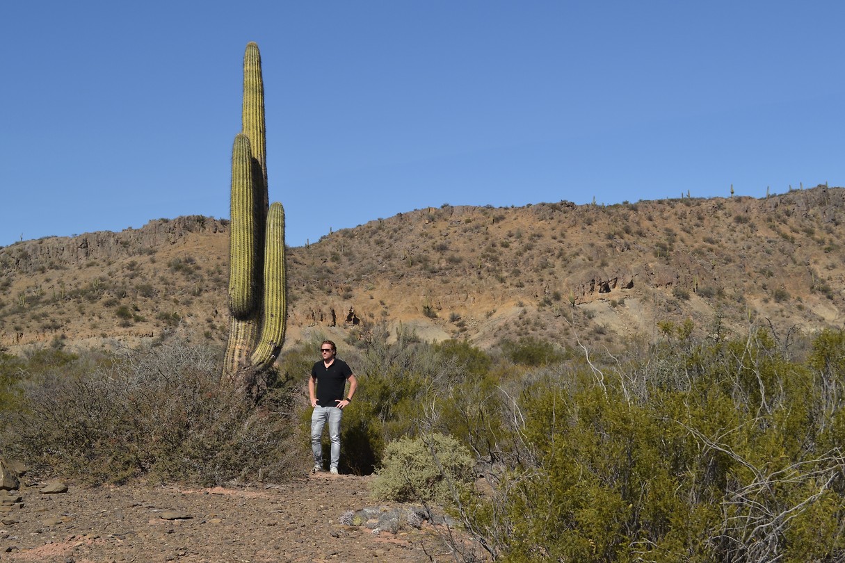 Meneer cactus...- roadtrip Argentinië