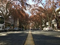 Herfst - Mendoza