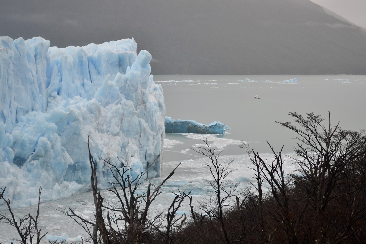 Perito Moreno gletsjer - Lago Argentino