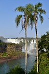 Watervallen - Iguazú