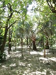 IMG_20191019_123650