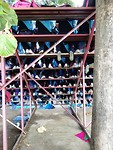 IMG_20191104_160948