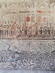 IMG_20191120_082508