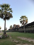 IMG_20191120_063929