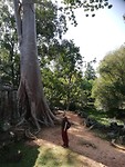 IMG_20191119_092952