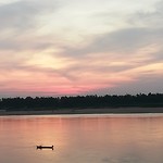 IMG_20191203_180318_281