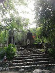 IMG_20191222_090142
