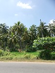 IMG_20200201_115950