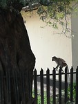 IMG_20200201_092635