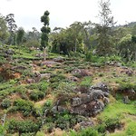 IMG_20200119_155204_233