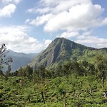 IMG_20200118_144655_709