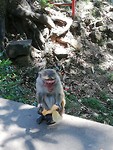 IMG_20200116_121707