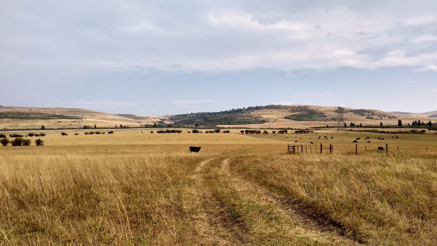 Pincher Creek Foto Martin’s reisblog