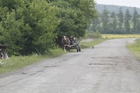 _MG_0695