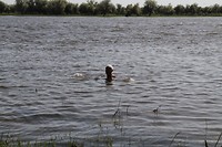_MG_0892