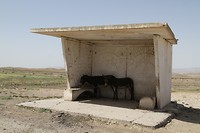 IMG_1604 bushalte