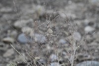 IMG_1431 spin