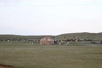 IMG_1880