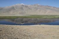 IMG_1825