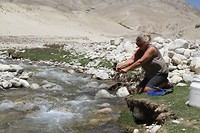 IMG_1784