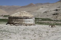 IMG_1778