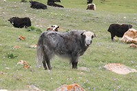 IMG_1997