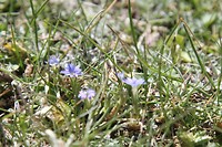 IMG_1961