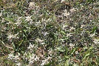 IMG_1960