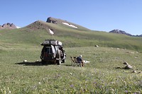 IMG_1930