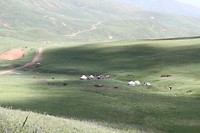 IMG_1921