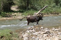 IMG_1908