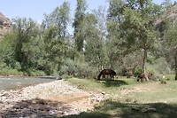IMG_1905