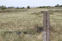 IMG_2105