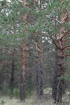 IMG_2078