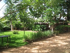 tuin Wieke