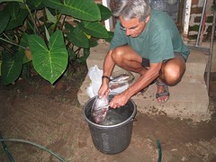 IMG_2629