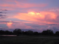 avondsafari